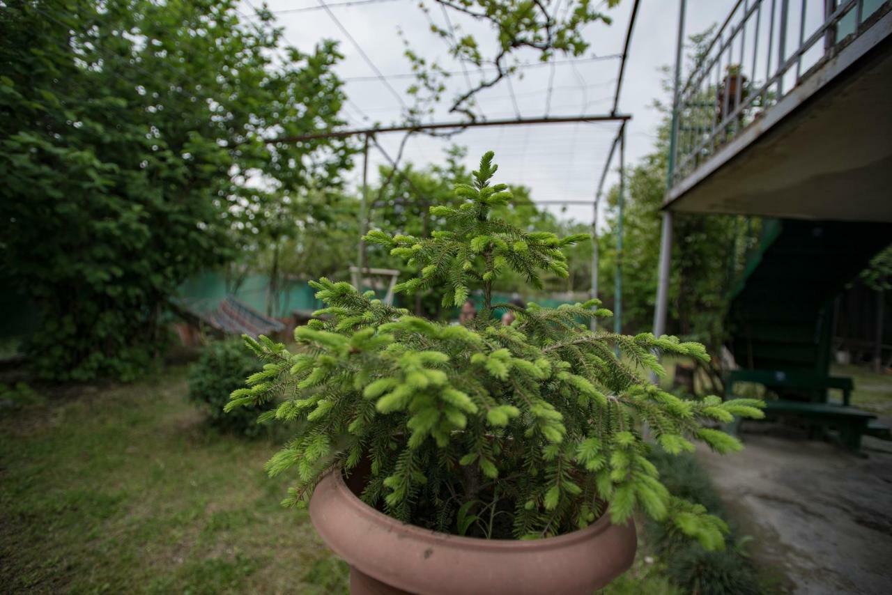 Zandukeli Inn Telavi Esterno foto